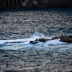 Malta-1-von-1-83 Malta-1-von-1-83